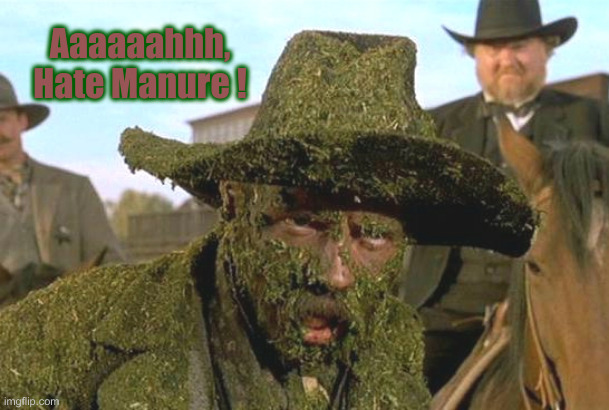 Manure | Aaaaaahhh, Hate Manure ! | image tagged in manure | made w/ Imgflip meme maker