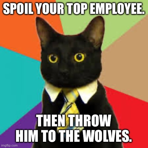 See me Cat | SPOIL YOUR TOP EMPLOYEE. THEN THROW HIM TO THE WOLVES. | image tagged in buisness cat,cant,i see this as an absolute win,awesome | made w/ Imgflip meme maker