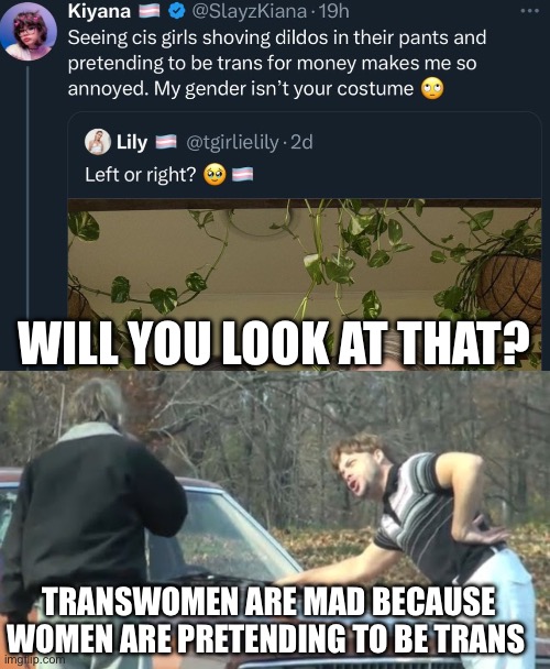 Identify | WILL YOU LOOK AT THAT? TRANSWOMEN ARE MAD BECAUSE WOMEN ARE PRETENDING TO BE TRANS | image tagged in would you look at that,transgender,transphobic,women | made w/ Imgflip meme maker