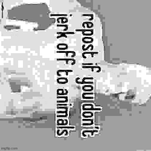 Repost if you don't | image tagged in repost if you don't | made w/ Imgflip meme maker