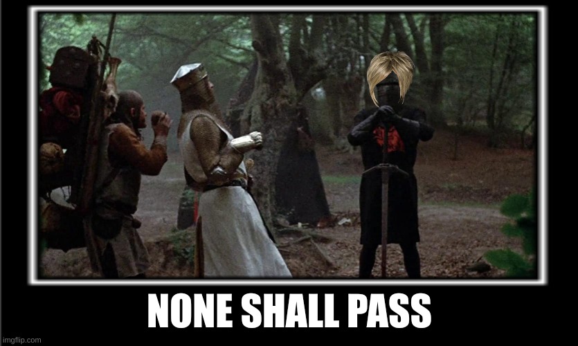 NONE SHALL PASS | image tagged in monty python and the holy grail,monty python black knight | made w/ Imgflip meme maker