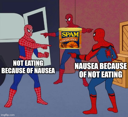 Triple spider man | NOT EATING BECAUSE OF NAUSEA NAUSEA BECAUSE OF NOT EATING | image tagged in triple spider man | made w/ Imgflip meme maker