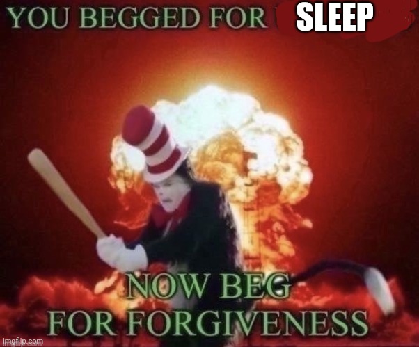Beg for forgiveness | SLEEP | image tagged in beg for forgiveness | made w/ Imgflip meme maker