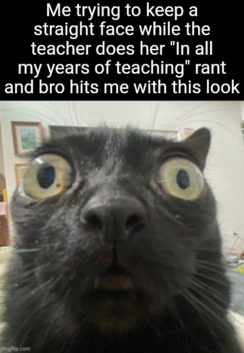 Jinx Staring | Me trying to keep a straight face while the teacher does her "In all my years of teaching" rant and bro hits me with this look | image tagged in jinx staring | made w/ Imgflip meme maker