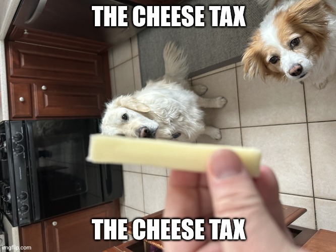 Two pups and a cheese stick | THE CHEESE TAX THE CHEESE TAX | image tagged in two pups and a cheese stick | made w/ Imgflip meme maker