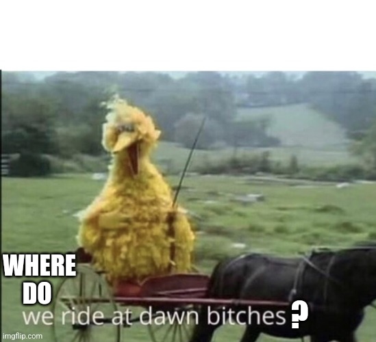 We ride at dawn bitches | WHERE DO ? | image tagged in we ride at dawn bitches | made w/ Imgflip meme maker