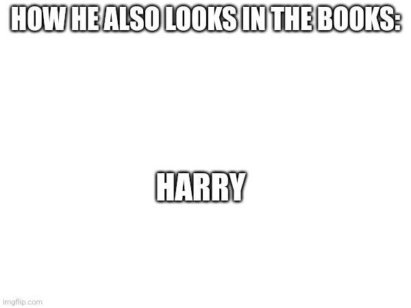 HOW HE ALSO LOOKS IN THE BOOKS: HARRY | made w/ Imgflip meme maker