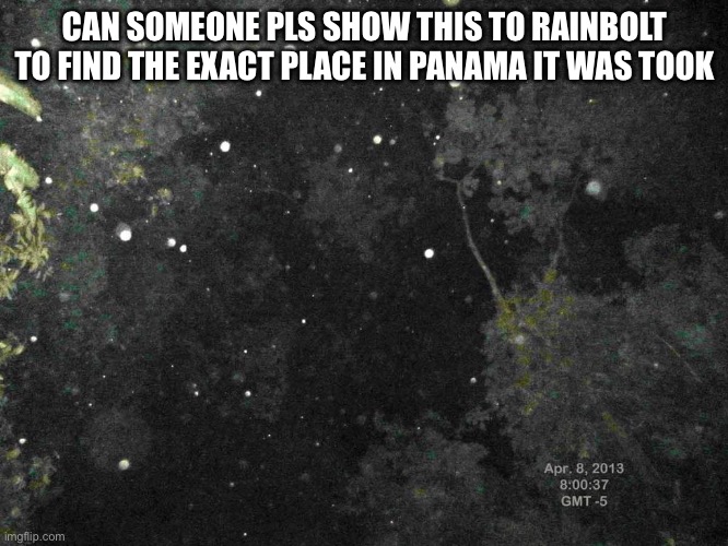 Pls help | CAN SOMEONE PLS SHOW THIS TO RAINBOLT TO FIND THE EXACT PLACE IN PANAMA IT WAS TOOK | image tagged in missing,help | made w/ Imgflip meme maker