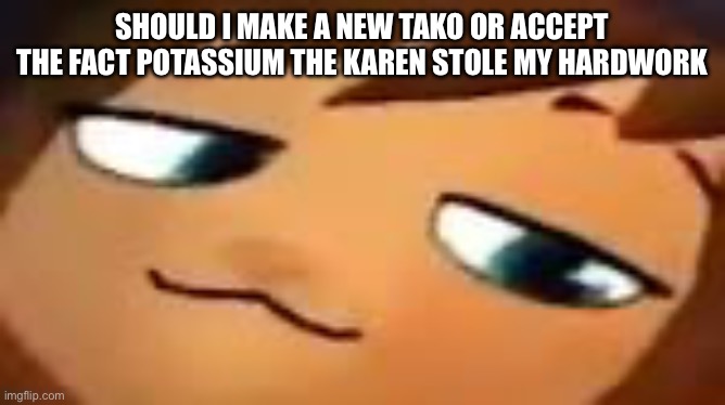 smug hat kid.mp4 | SHOULD I MAKE A NEW TAKO OR ACCEPT THE FACT POTASSIUM THE KAREN STOLE MY HARDWORK | image tagged in smug hat kid mp4 | made w/ Imgflip meme maker