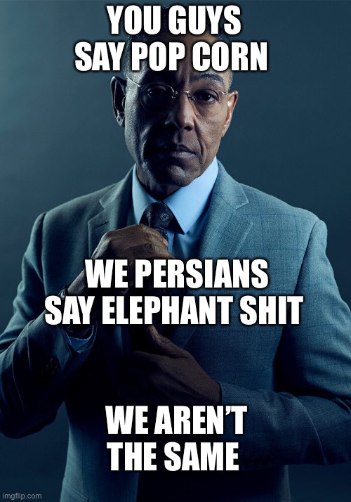 Gus Fring we are not the same | YOU GUYS SAY POP CORN; WE PERSIANS SAY ELEPHANT SHIT; WE AREN’T THE SAME | image tagged in gus fring we are not the same,iran,persian,pop corn,persia,memes | made w/ Imgflip meme maker