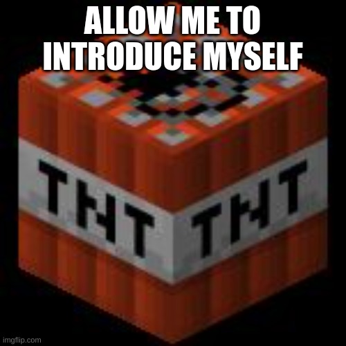 Minecraft TNT | ALLOW ME TO INTRODUCE MYSELF | image tagged in minecraft tnt | made w/ Imgflip meme maker