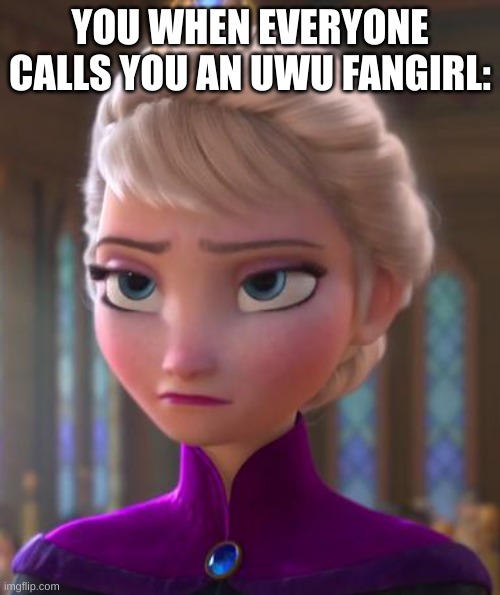 oh my god you shouldn't have done that | YOU WHEN EVERYONE CALLS YOU AN UWU FANGIRL: | image tagged in seriously face | made w/ Imgflip meme maker