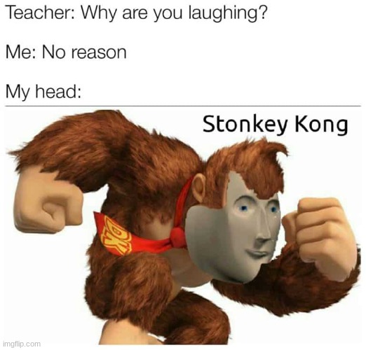 ( : no hate pls | image tagged in stonky kong | made w/ Imgflip meme maker