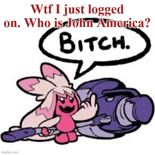 tinkaton bitch | Wtf I just logged on. Who is John America? | image tagged in tinkaton bitch | made w/ Imgflip meme maker