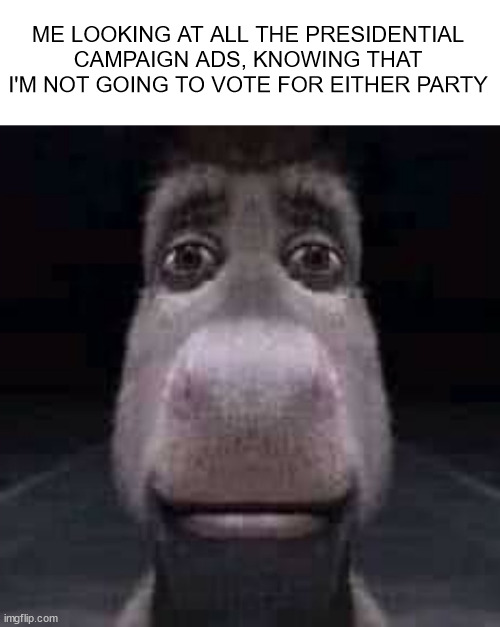 wow fun ads | ME LOOKING AT ALL THE PRESIDENTIAL CAMPAIGN ADS, KNOWING THAT I'M NOT GOING TO VOTE FOR EITHER PARTY | image tagged in donkey staring | made w/ Imgflip meme maker