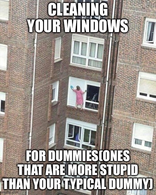 This woman... | CLEANING YOUR WINDOWS; FOR DUMMIES(ONES THAT ARE MORE STUPID THAN YOUR TYPICAL DUMMY) | image tagged in dumb people,cleaning,death wish | made w/ Imgflip meme maker