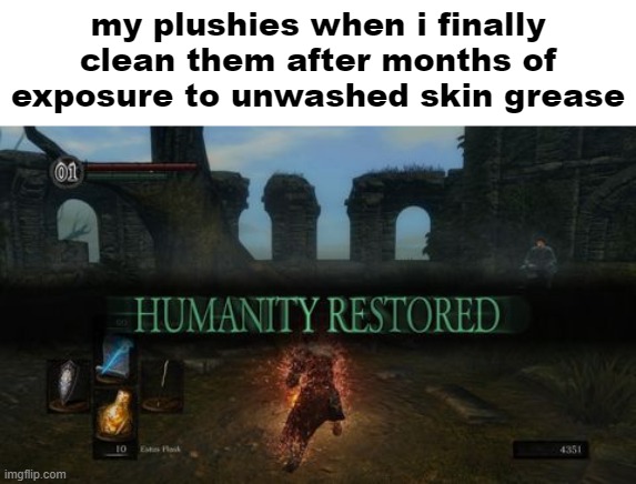 humanity restored | my plushies when i finally clean them after months of exposure to unwashed skin grease | image tagged in humanity restored | made w/ Imgflip meme maker