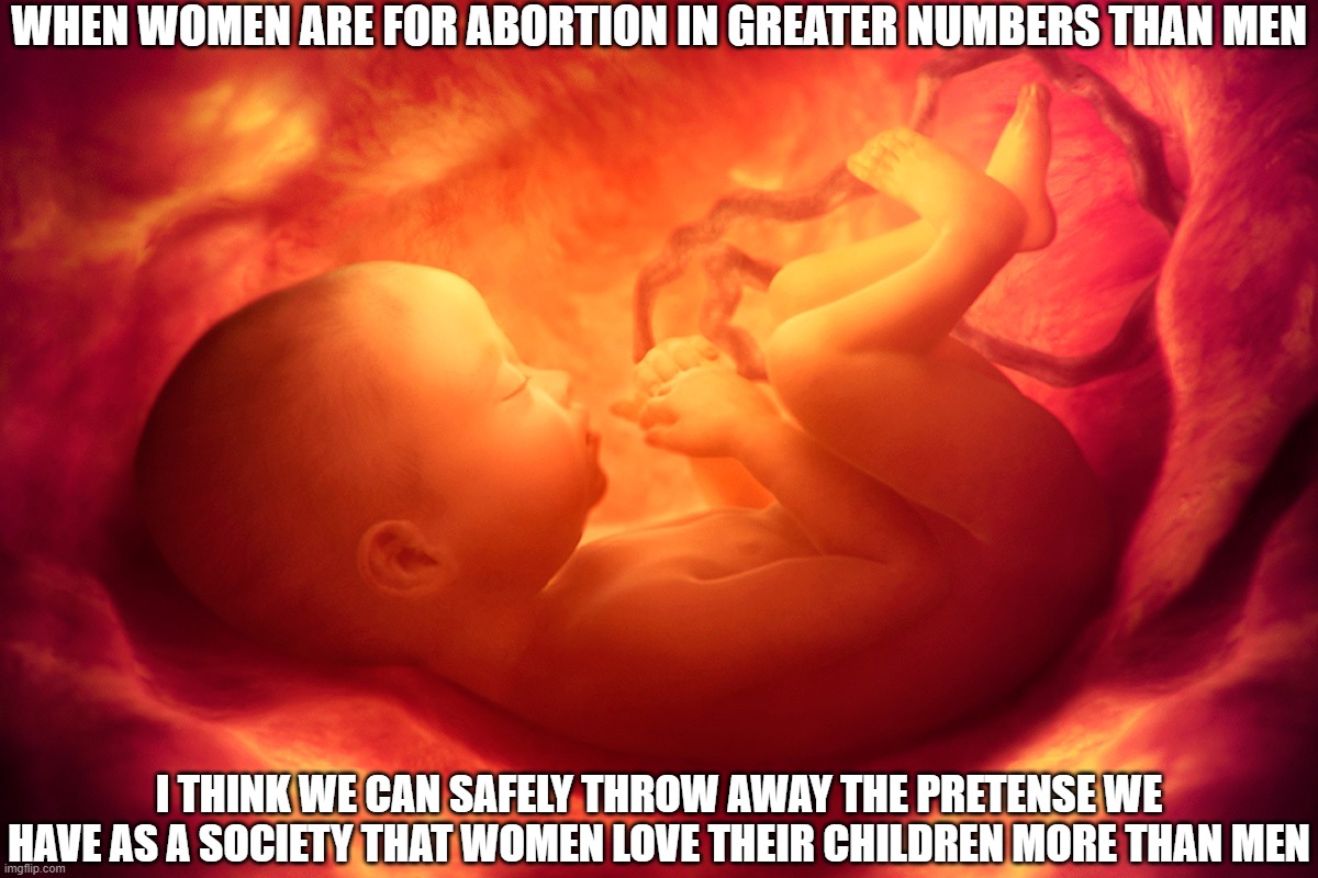 The Ridiculous Assumption that Women Love their Children | WHEN WOMEN ARE FOR ABORTION IN GREATER NUMBERS THAN MEN; I THINK WE CAN SAFELY THROW AWAY THE PRETENSE WE HAVE AS A SOCIETY THAT WOMEN LOVE THEIR CHILDREN MORE THAN MEN | image tagged in fetus,children,babies,abortion,amoral | made w/ Imgflip meme maker