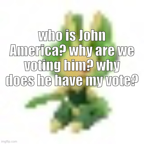 144p Leavanny | who is John America? why are we voting him? why does he have my vote? | image tagged in 144p leavanny | made w/ Imgflip meme maker