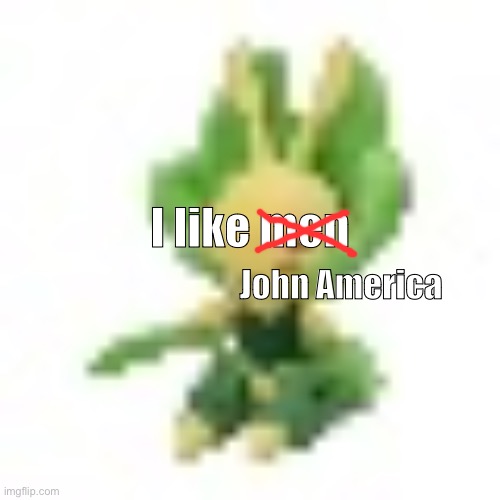 144p Leavanny | I like men; John America | image tagged in 144p leavanny | made w/ Imgflip meme maker