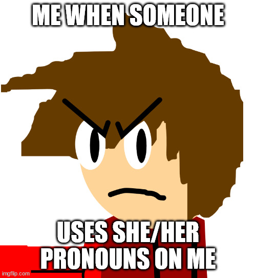 its true, i dont like these pronouns anymore :3 | ME WHEN SOMEONE; USES SHE/HER PRONOUNS ON ME | image tagged in memes | made w/ Imgflip meme maker