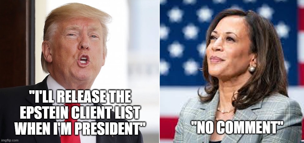 Stark Difference | "I'LL RELEASE THE EPSTEIN CLIENT LIST WHEN I'M PRESIDENT"; "NO COMMENT" | image tagged in kamala vs trump | made w/ Imgflip meme maker