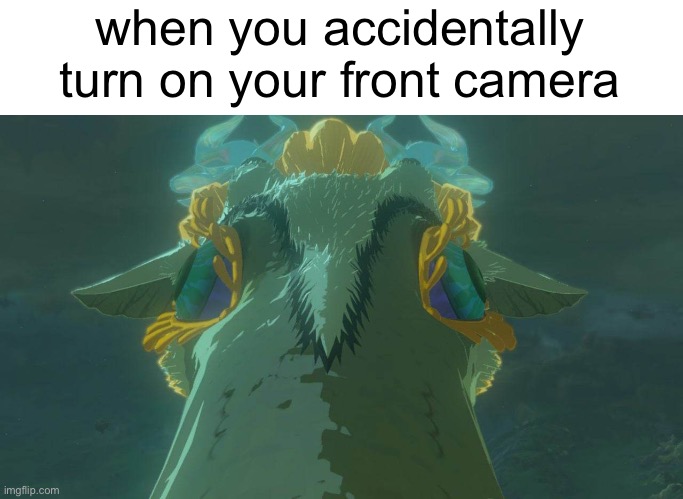 when you accidentally turn on your front camera | image tagged in legend of zelda,zelda,tears of the kingdom,totk,dragon | made w/ Imgflip meme maker