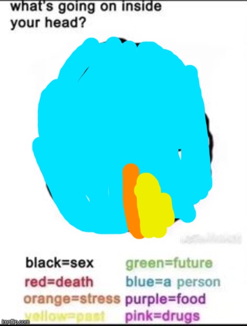 What's going on inside your head? | image tagged in what's going on inside your head | made w/ Imgflip meme maker