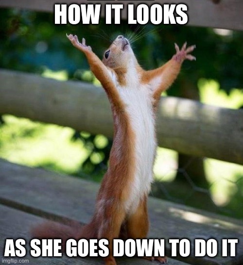 All Hail | HOW IT LOOKS; AS SHE GOES DOWN TO DO IT | image tagged in all hail | made w/ Imgflip meme maker