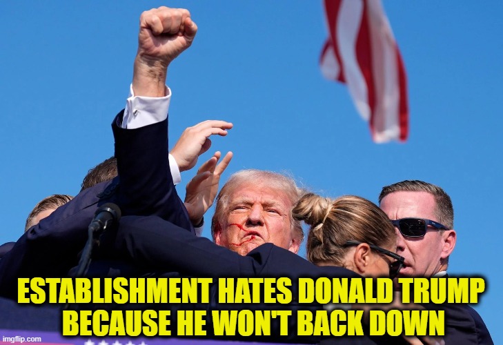 They threw everything at him & he's still standing | ESTABLISHMENT HATES DONALD TRUMP 
BECAUSE HE WON'T BACK DOWN | image tagged in donald trump | made w/ Imgflip meme maker