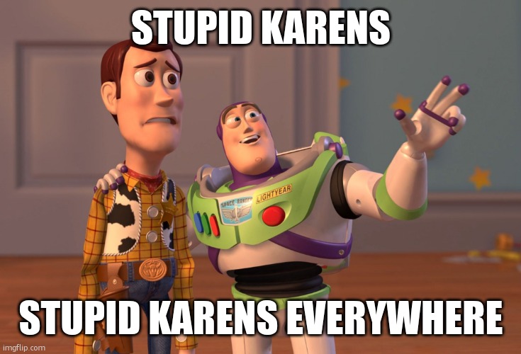 X, X Everywhere | STUPID KARENS; STUPID KARENS EVERYWHERE | image tagged in memes,x x everywhere | made w/ Imgflip meme maker