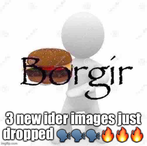 Borgir | 3 new ider images just dropped 🗣️🗣️🗣️🔥🔥🔥 | image tagged in borgir | made w/ Imgflip meme maker