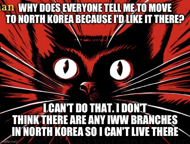 I need to live close to an IWW branch | WHY DOES EVERYONE TELL ME TO MOVE TO NORTH KOREA BECAUSE I'D LIKE IT THERE? I CAN'T DO THAT. I DON'T THINK THERE ARE ANY IWW BRANCHES IN NORTH KOREA SO I CAN'T LIVE THERE | image tagged in sabo tabby,iww,syndicalist,communist,anarchism,north korea | made w/ Imgflip meme maker