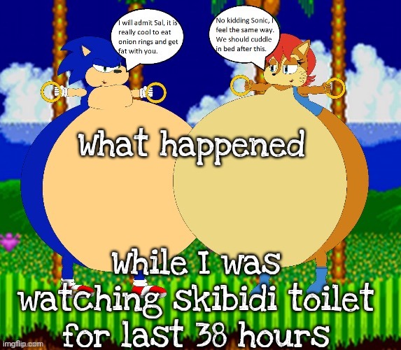 THP Sonic fat (Why did I do this) | What happened; While I was watching skibidi toilet for last 38 hours | image tagged in thp sonic fat why did i do this | made w/ Imgflip meme maker