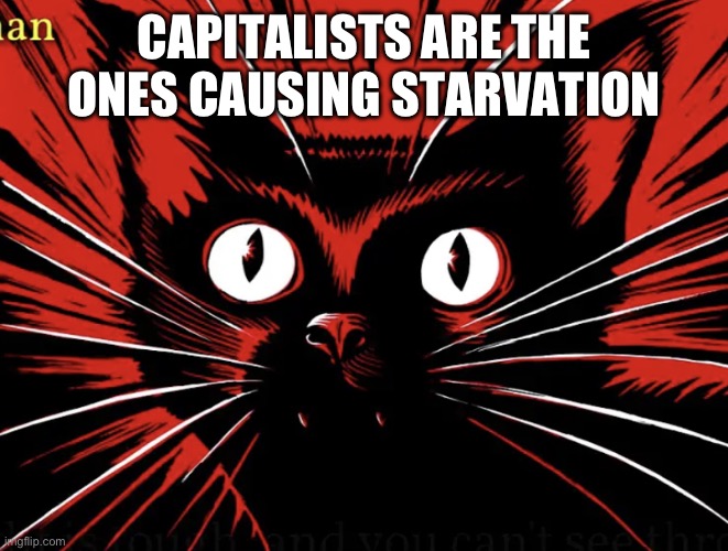 Sabo tabby | CAPITALISTS ARE THE ONES CAUSING STARVATION | image tagged in sabo tabby | made w/ Imgflip meme maker