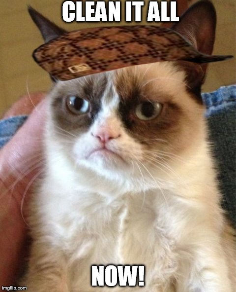 Grumpy Cat Meme | CLEAN IT ALL NOW! | image tagged in memes,grumpy cat,scumbag | made w/ Imgflip meme maker