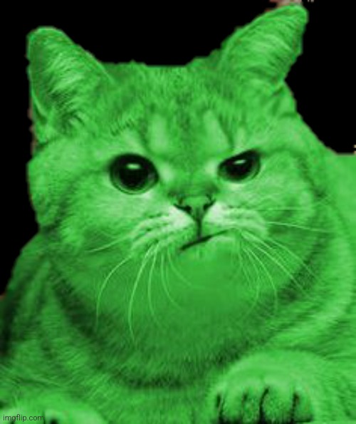 Dissatisfied RayCat sticker | image tagged in dissatisfied raycat sticker | made w/ Imgflip meme maker