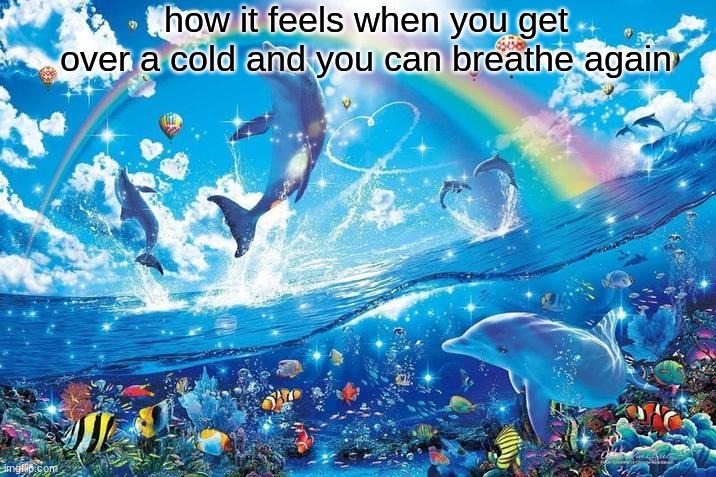 currently sick rn :((( | how it feels when you get over a cold and you can breathe again | image tagged in happy dolphin rainbow | made w/ Imgflip meme maker