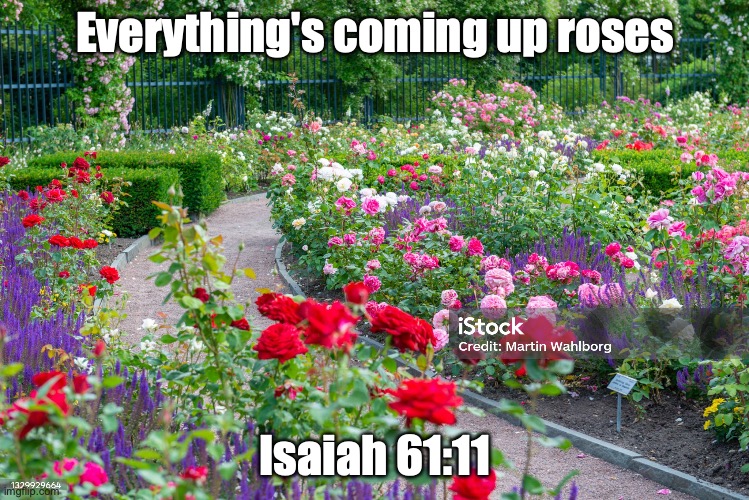 The World To Come | Everything's coming up roses; Isaiah 61:11 | image tagged in a new creation | made w/ Imgflip meme maker