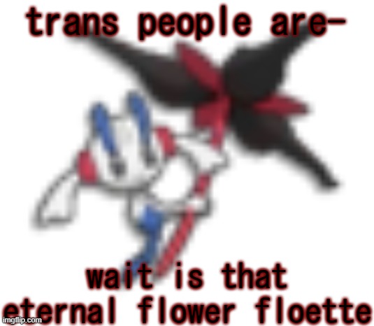 (this is a joke about transphobes) | trans people are-; wait is that eternal flower floette | image tagged in 144p floette | made w/ Imgflip meme maker