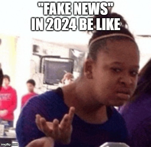 ("Fake News" in 2024 Be Like) Girl. | image tagged in 2024 | made w/ Imgflip meme maker