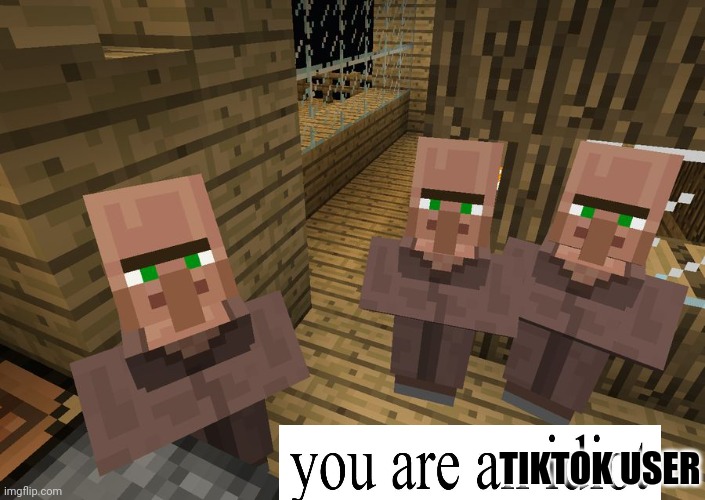 Minecraft Villagers | TIKTOK USER | image tagged in minecraft villagers | made w/ Imgflip meme maker