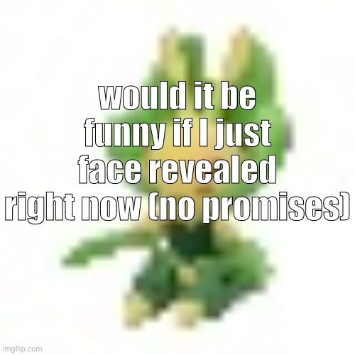 144p Leavanny | would it be funny if I just face revealed right now (no promises) | image tagged in 144p leavanny | made w/ Imgflip meme maker