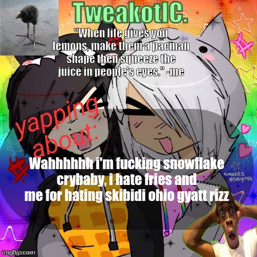 Abusing Yamcha/Tweak Announcement Temp | Wahhhhhh i'm fucking snowflake crybaby, i hate fries and me for hating skibidi ohio gyatt rizz | image tagged in smores 14th announcement temp | made w/ Imgflip meme maker