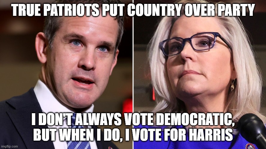 Kinzinger and Cheney - I don't always vote democratic, but when I do, I vote for Harris | TRUE PATRIOTS PUT COUNTRY OVER PARTY; I DON'T ALWAYS VOTE DEMOCRATIC,
BUT WHEN I DO, I VOTE FOR HARRIS | image tagged in cheney and kinzinger | made w/ Imgflip meme maker