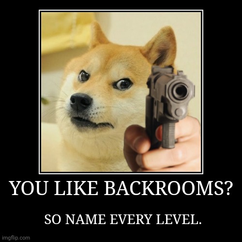 YOU LIKE BACKROOMS? | YOU LIKE BACKROOMS? | SO NAME EVERY LEVEL. | image tagged in funny,demotivationals | made w/ Imgflip demotivational maker