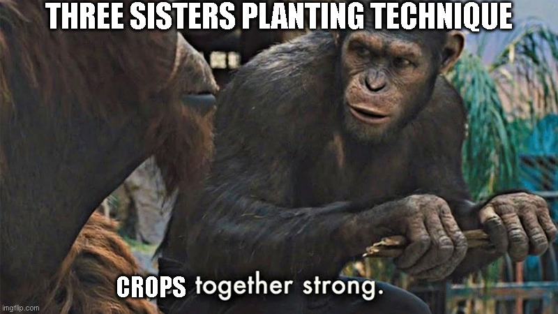 THREE SISTERS PLANTING TECHNIQUE; CROPS | made w/ Imgflip meme maker