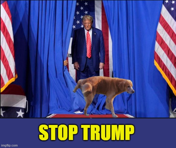 He's Really Not That Smart... | STOP TRUMP | image tagged in donald trump memes,donald trump the clown,donald trump is an idiot,political meme | made w/ Imgflip meme maker