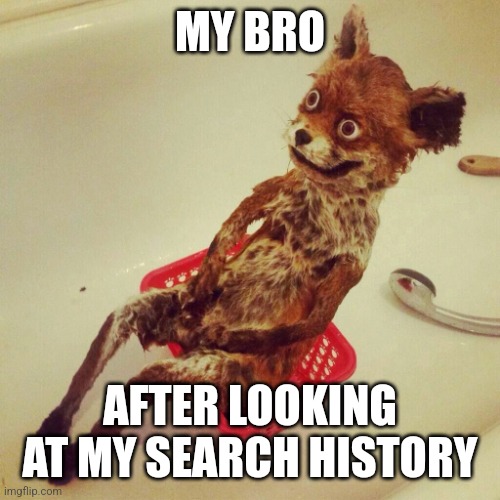 For real | MY BRO; AFTER LOOKING AT MY SEARCH HISTORY | image tagged in hangover fox | made w/ Imgflip meme maker