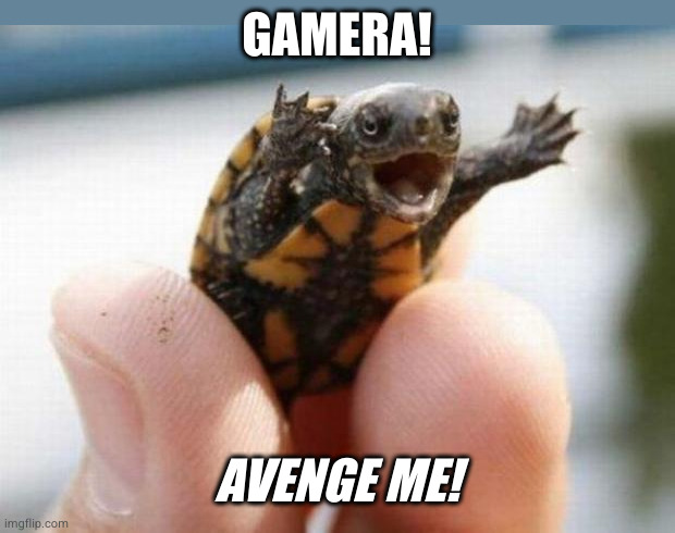 fuckyeah turtle | GAMERA! AVENGE ME! | image tagged in fuckyeah turtle | made w/ Imgflip meme maker